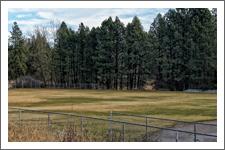 soccer field 