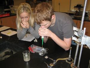 AP Biology DNA Forensics  